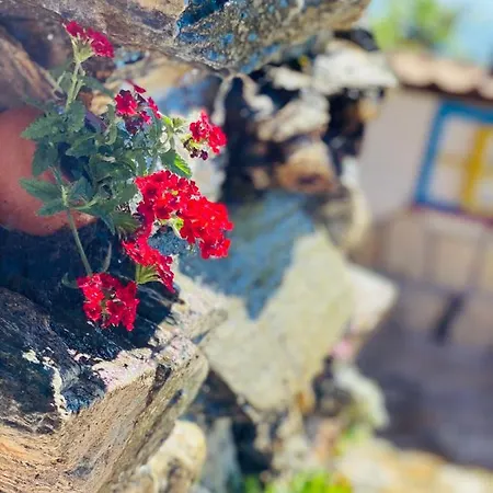 招待所 огражденска къща Borovichene