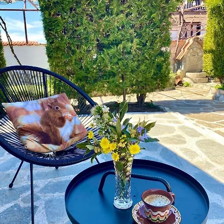 огражденска къща *