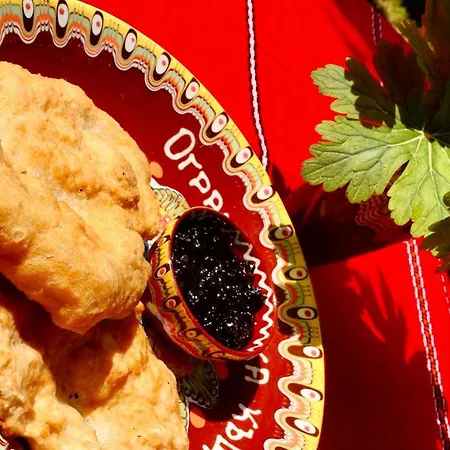 огражденска къща 招待所