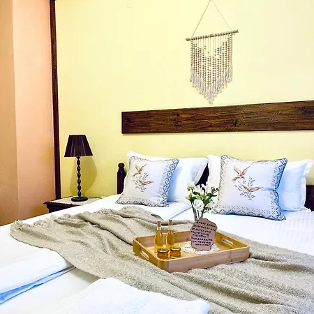 огражденска къща Maison d'hôtes Borovichene