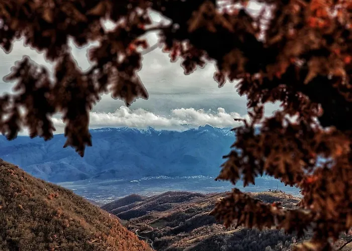 огражденска къща * Borovichene